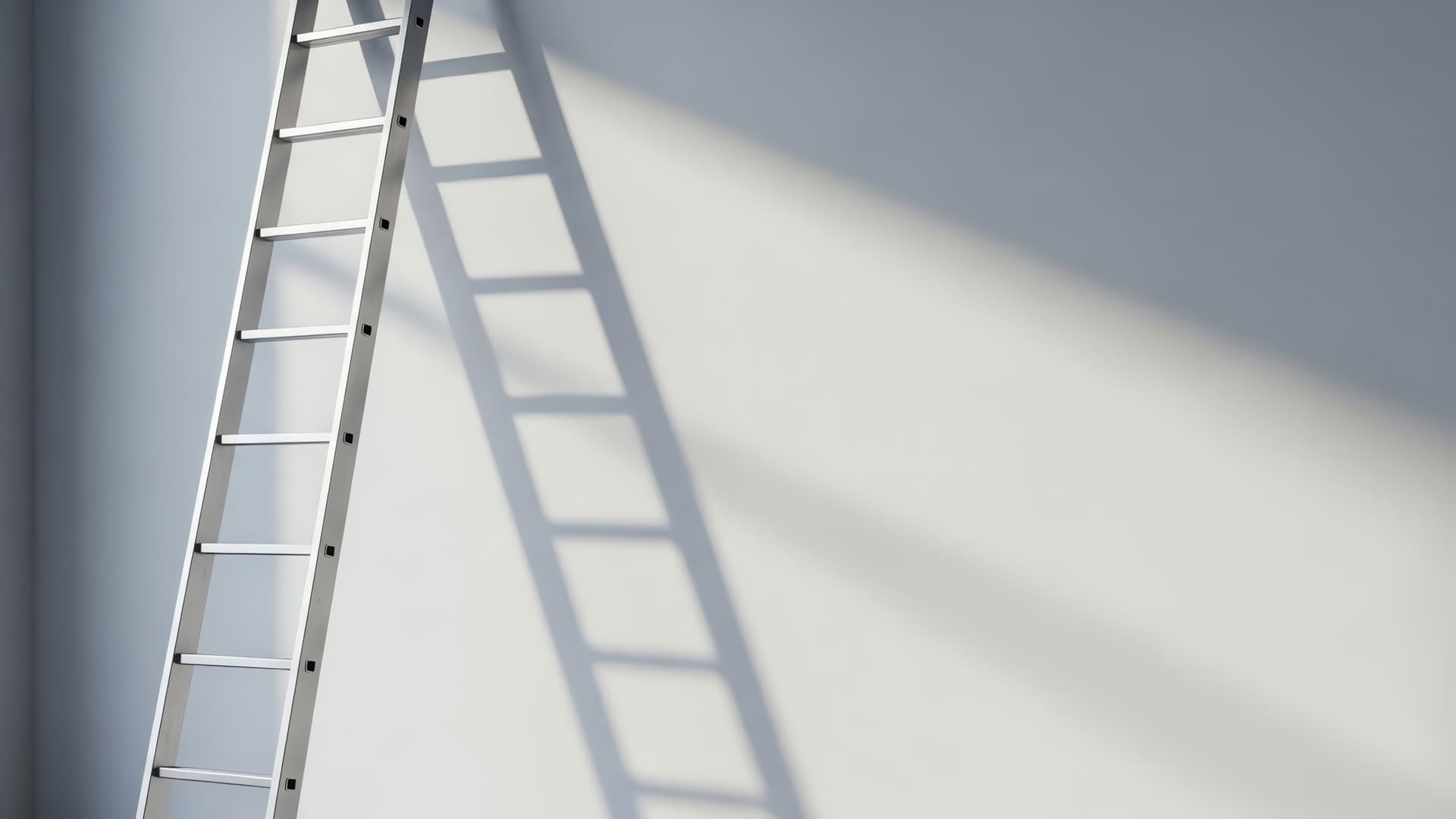 how often ladder inspection Ireland